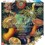 Good Loot Puzzle: Ernst Haeckel - Sea Anemones