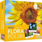 Gra Flora Polski memory