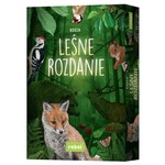 Leśne rozdanie