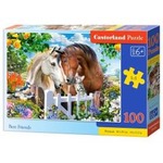 Puzzle 100 Best Friends CASTOR