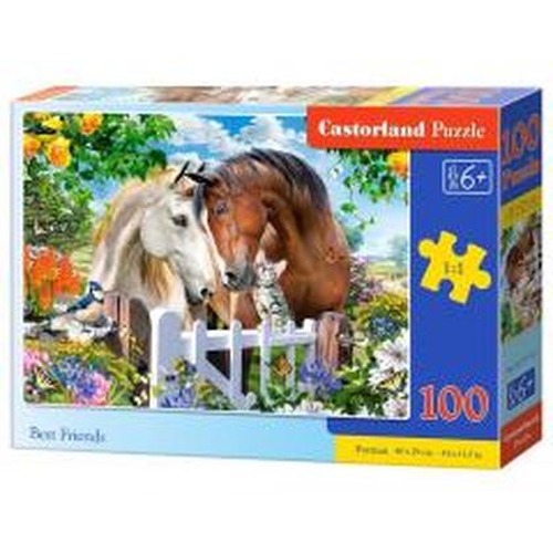 Puzzle 100 Best Friends CASTOR