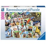 Puzzle 1000 elementów Zwierzaki w podróży