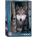 Puzzle 1000 Szary wilk