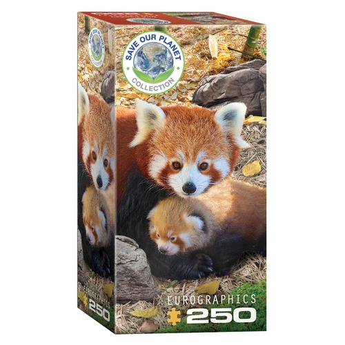 Puzzle 250 Red Pandas 8251-5557