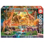 Puzzle 4000 el. Sawanna budzi się do życia